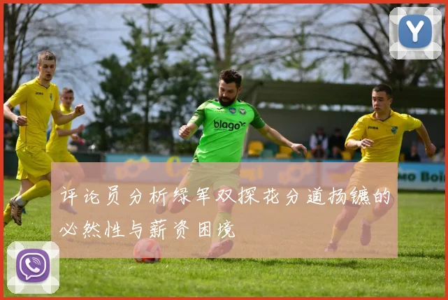 评论员分析绿军双探花分道扬镳的必然性与薪资困境